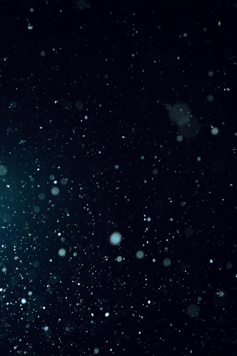 星が降っているみたいで好き。