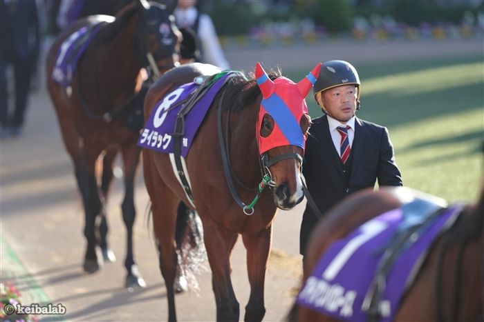 keibalab's tweet photo. 【花言葉は"思い出"】
22年フェアリーSに優勝したライラックは、本日1月22日木曜付けで競走馬登録を抹消したことがJRAからも発表されました。

今後は北海道新ひだか町の岡田スタッドにて繁殖馬となる予定。改めてお疲れさまでした。
#ライラック #引退
https://t.co/0a4pwPf6Ul https://t.co/Np9E9NK96z