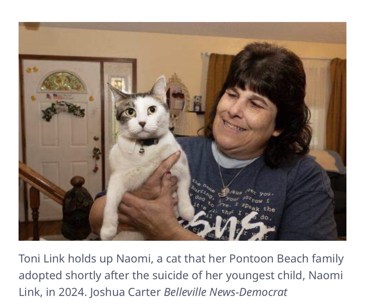 Flyover Country Fren tweet media