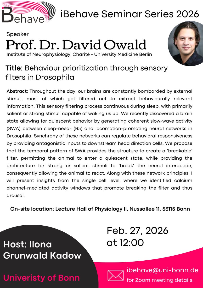 iBehave Network tweet media