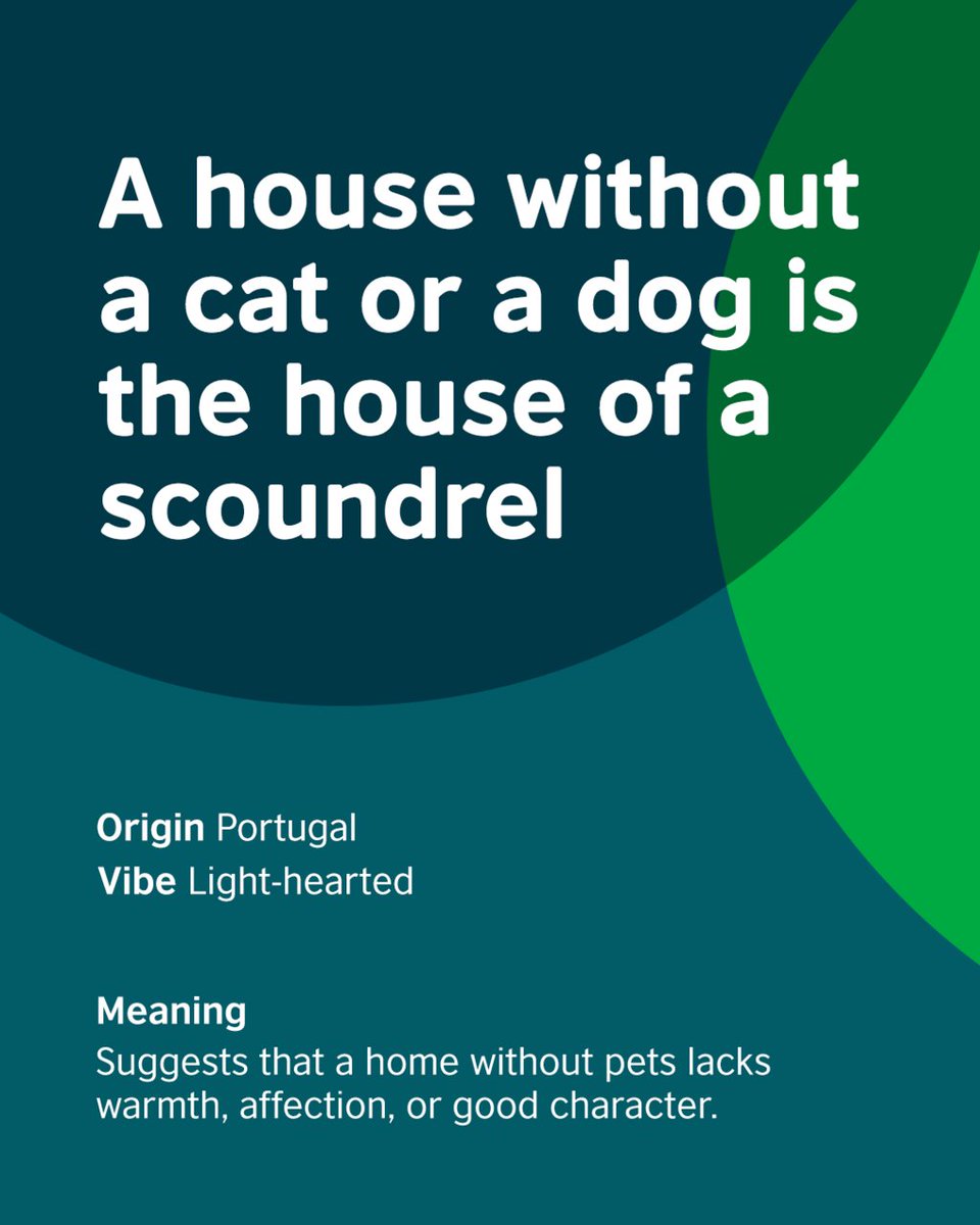 British Council tweet media