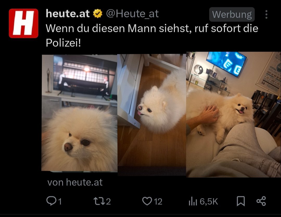 FabiWasabi (@fab1y0o) on Twitter photo 