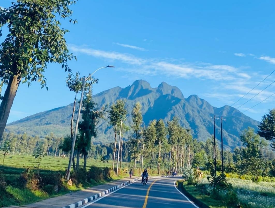 JungleRideSafar's tweet image. Work, save, travel, repeat," time off is for making memories. 

Book a day #trip safari to the #volcanoesNP for #gorilla #trekking #adventure with us.

#VisitRwanda #Traveler #JungleRideSafaris #Africa #Kigali  #WORLDTOUR2026 #ExploreMore #NatureLovers #Rwanda #AdventureAwaits