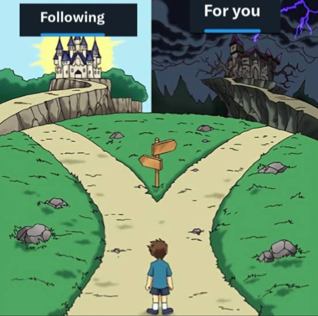 Lindy Frog tweet media