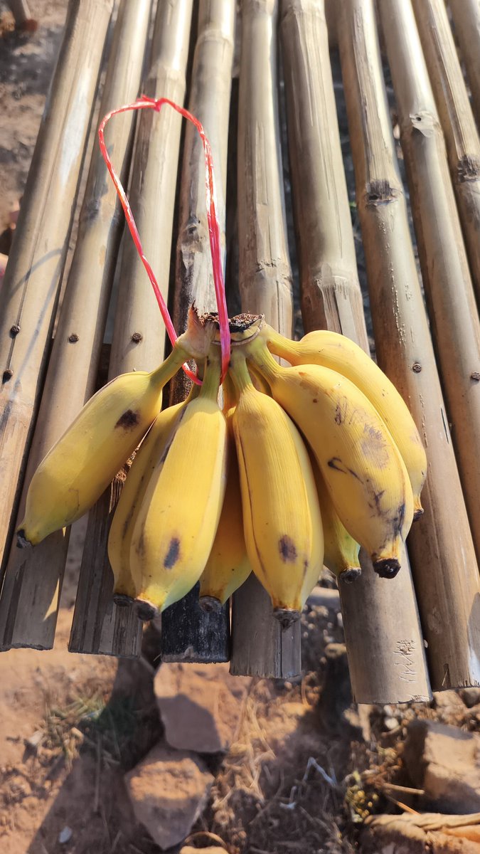 AddictCryptoBoy 🟦 tweet media