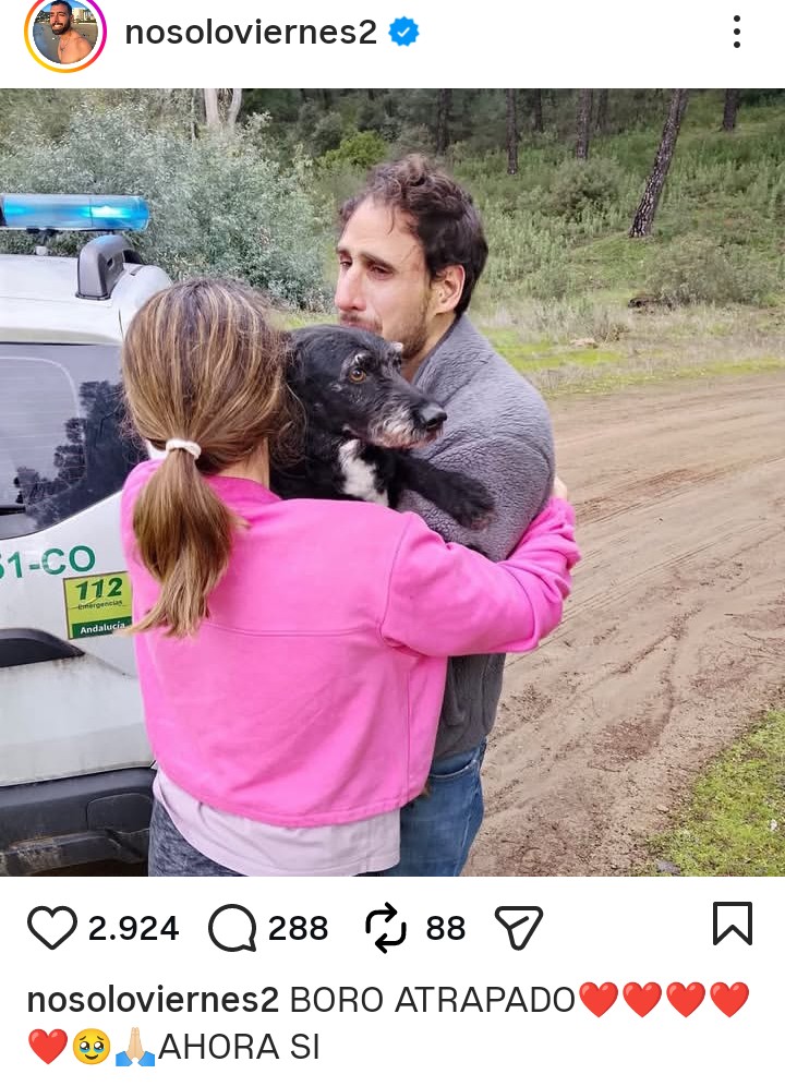 Mercede84704540's tweet image. Para los q decís q es sólo un perro y q somos exagerados,pasad de largo. Para todos los demás,una maravillosa noticia 👏💃