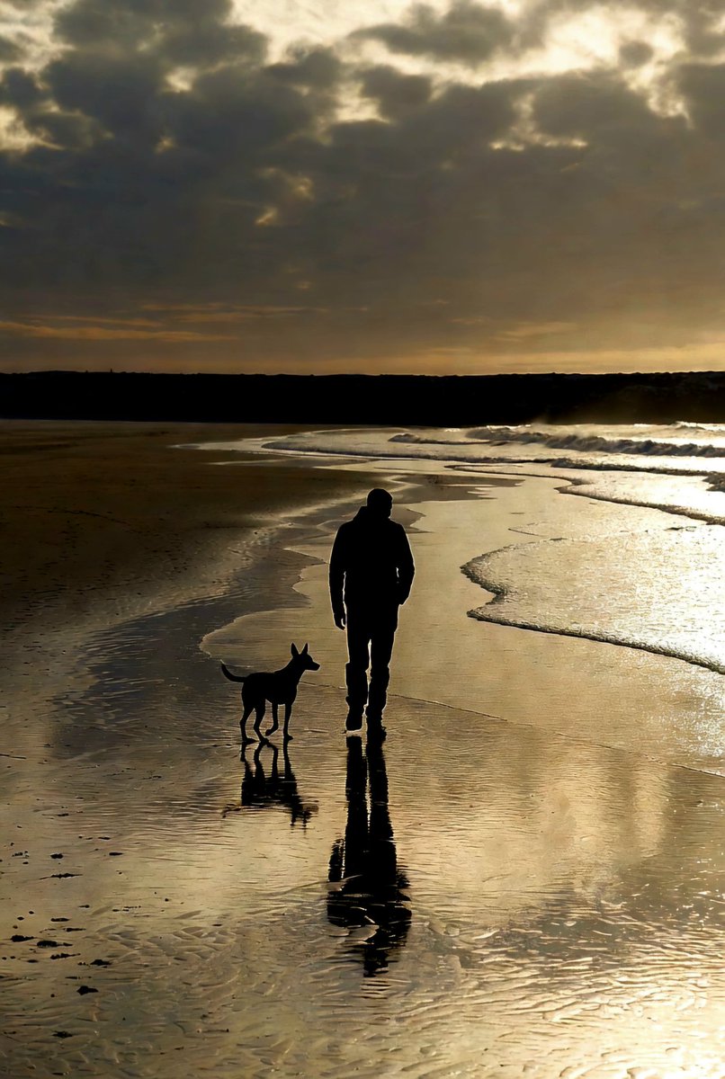 fraveris's tweet image. "Conscience is a man's compass"

― Vincent Van Gogh