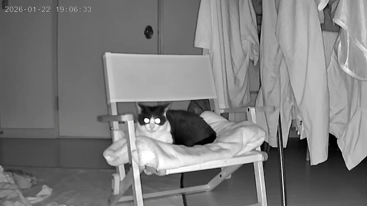 moji mojico (@moji_mojico) / Posts / X