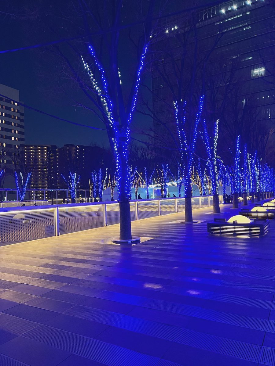 薄ら半透鳴 tweet media
