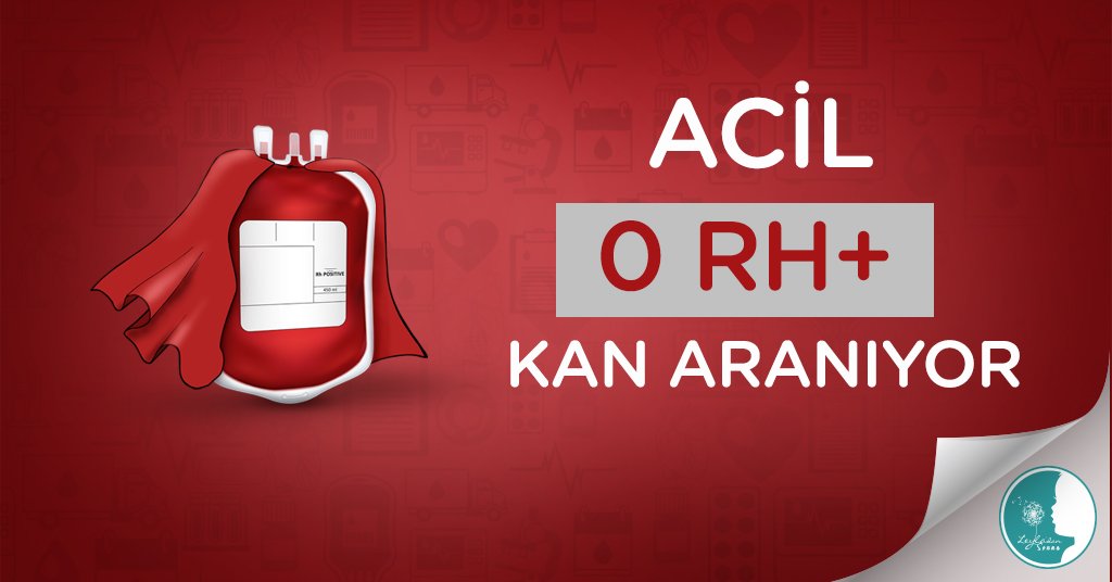🚨#Sakarya Eğitim ve Araştırma Hastanesi onkoloji servisinde tedavi görmekte olan Afranur KAYA(7) için 0 Rh(+) #acil #beyaz #kan ihtiyacı vardır.
📱İrtibat : 0(533) 190 08 54
❗️Gitmeden önce iletişime geçiniz.
❗️İhtiyaç çok #acildir.