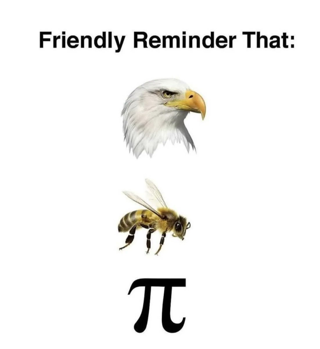 Math Files tweet media