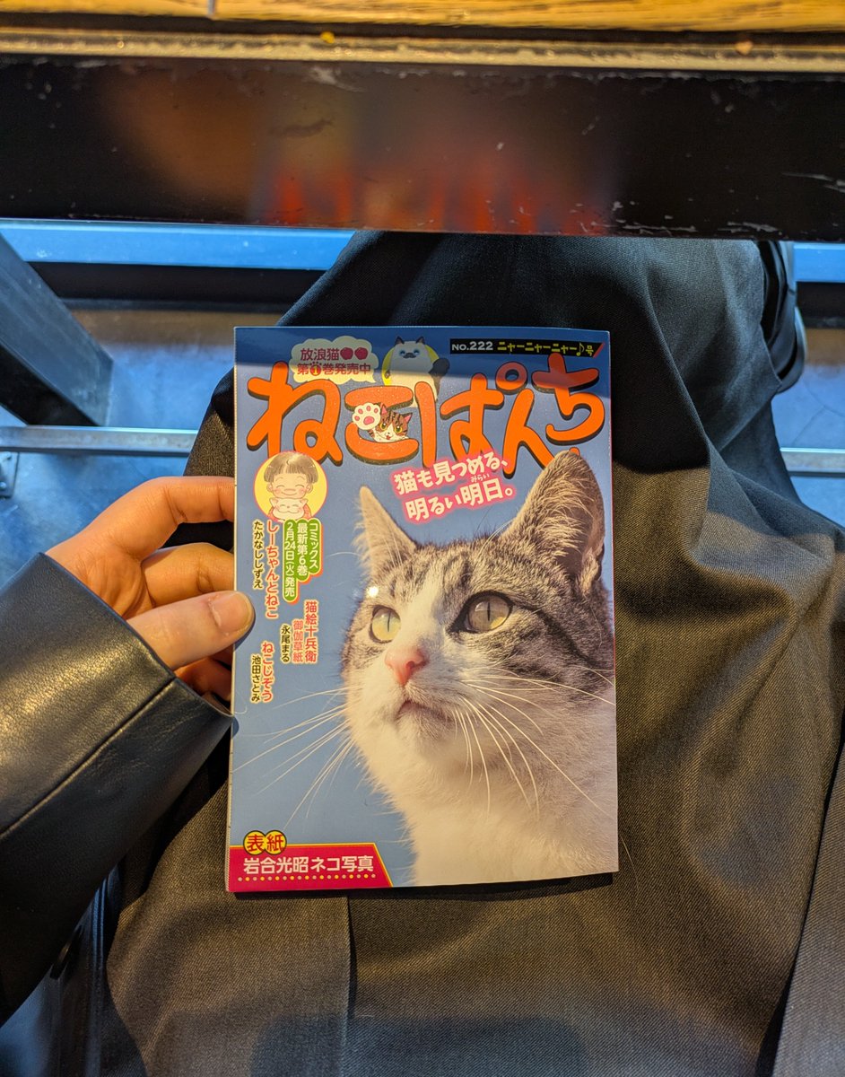 #ねこぱんち 本日発売！ #濃藍アパートメントの猫 連載中！よろしくね🐱
今日は外出。都内のカフェでねこぱんちを開く。
店内でかかっていたのはジャニスの「サマータイム」。真冬に聴くのもなかなかいいじゃん。
"JANIS"は今回７話のキーワード。きっと、笑ってくれるひとが何処かにいるはず。