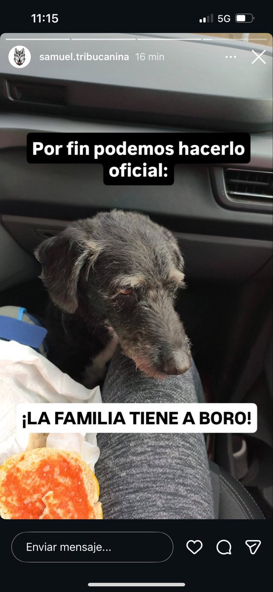 aliii PB tweet media