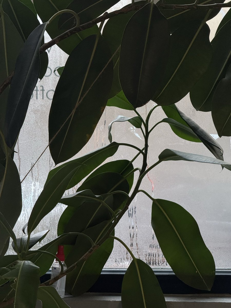 wanderlayer's tweet image. две фотографии а могло быть три или четыре