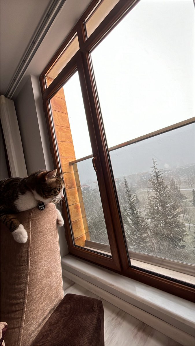 ERAY BEN (@erayygokay) on Twitter photo 