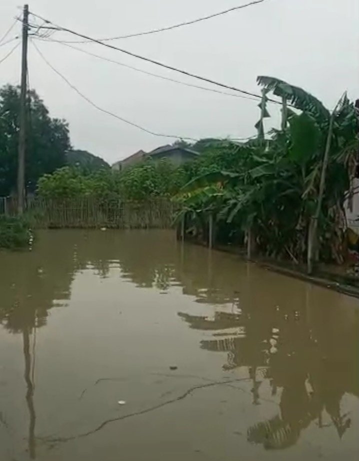 otieu.com/4/10165048