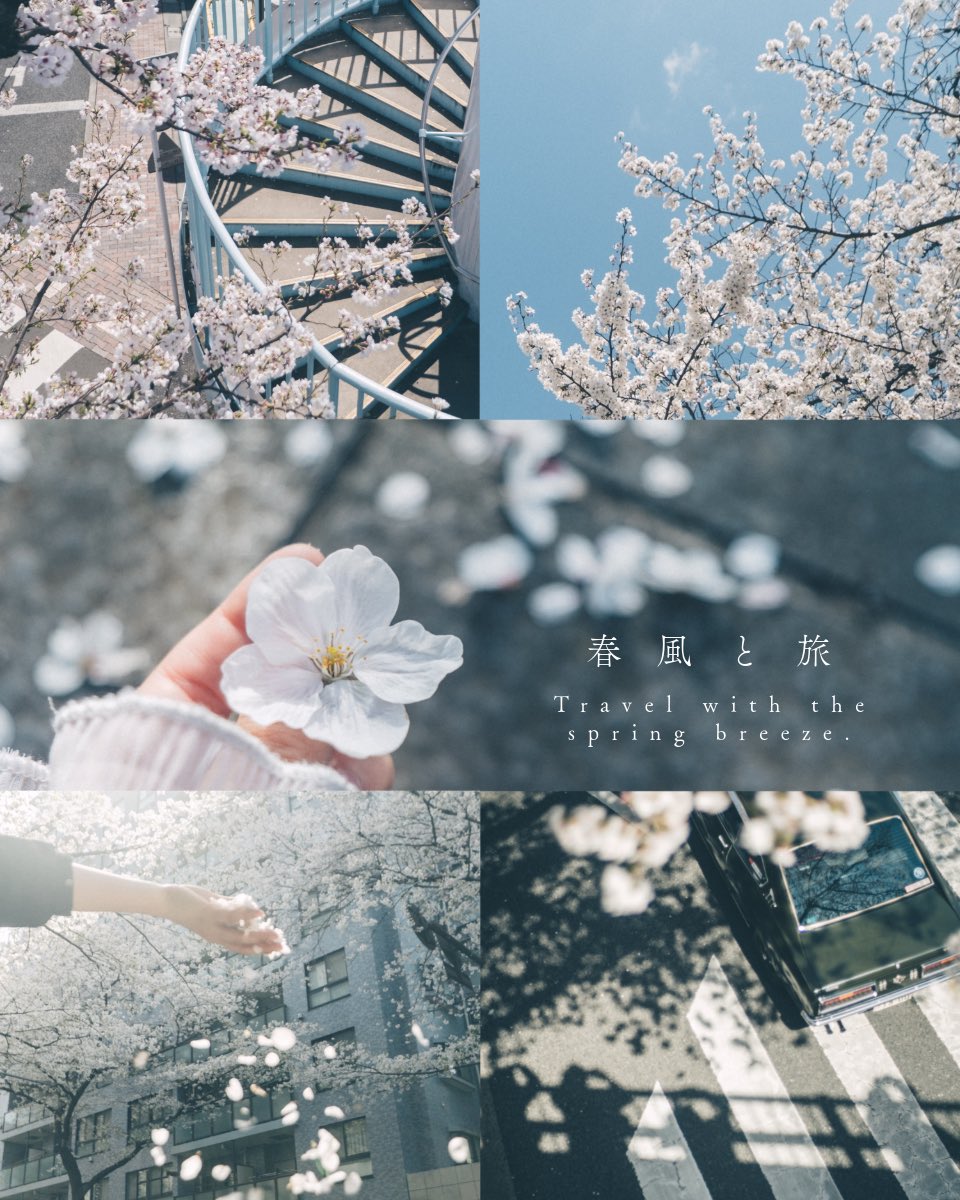 tanco_camera's tweet image. CP+2026
Kenkoブースにて2/27の14:00〜登壇させていただきます！！
お会いできるの楽しみにしています！