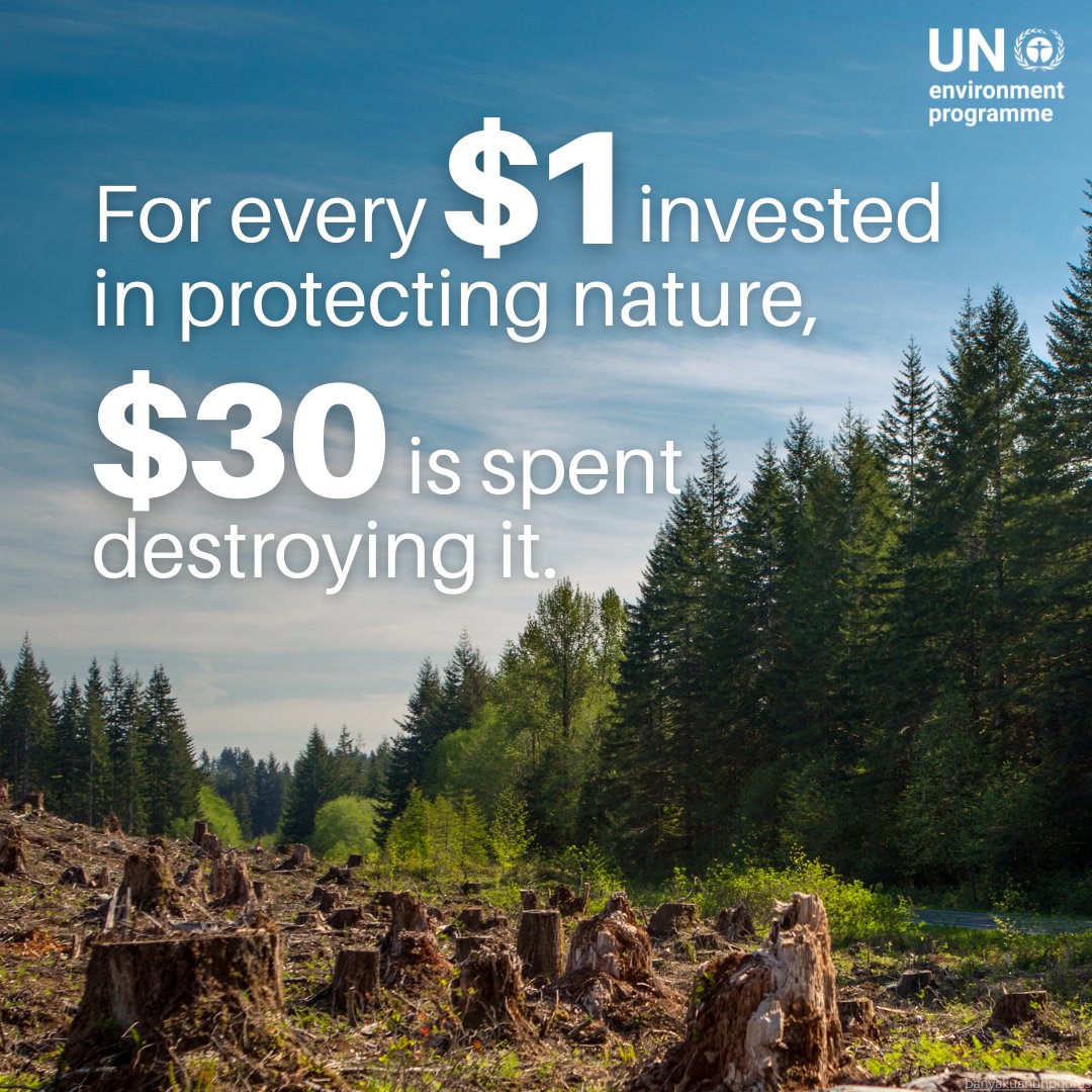 UN Environment Programme tweet media