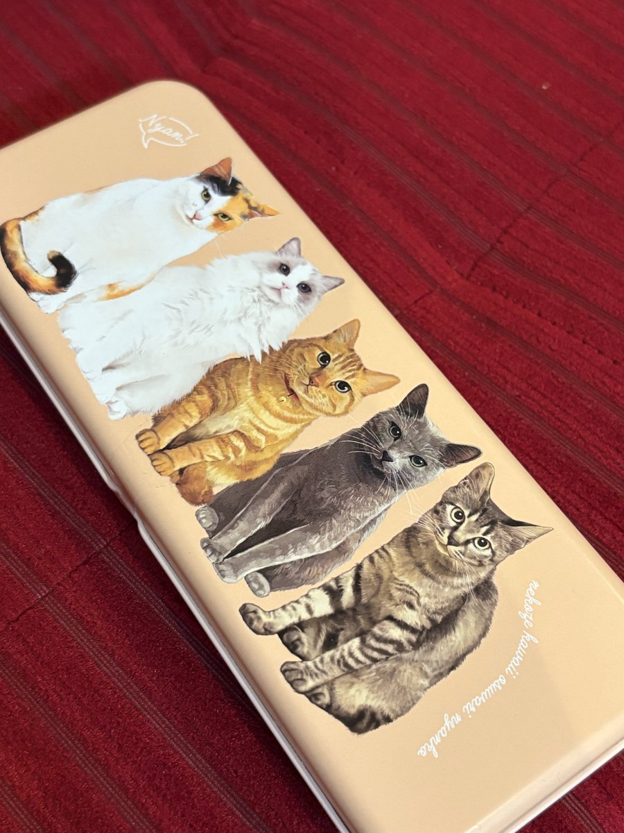 猫缶は猫好きのうちの母親にあげるつもり🐈‍⬛💕
あとカルディのネコの日バックも申込したー