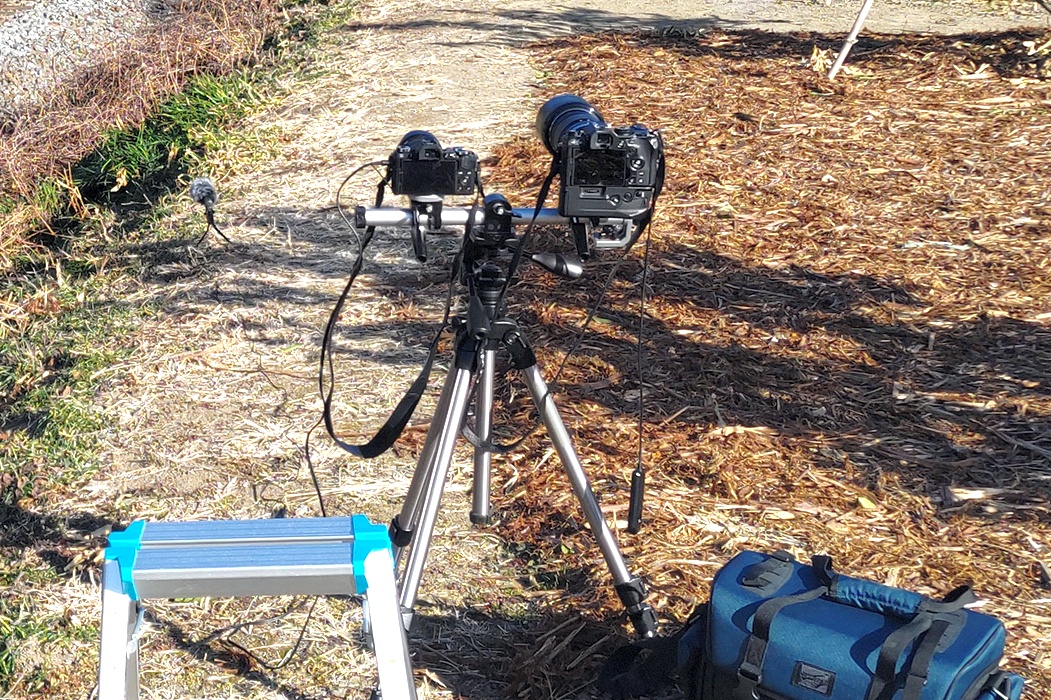 絶版　マルチア－ム　カメラ２台仕様 こちらかな？ カタログひっくり返したら2010年頃から自称している