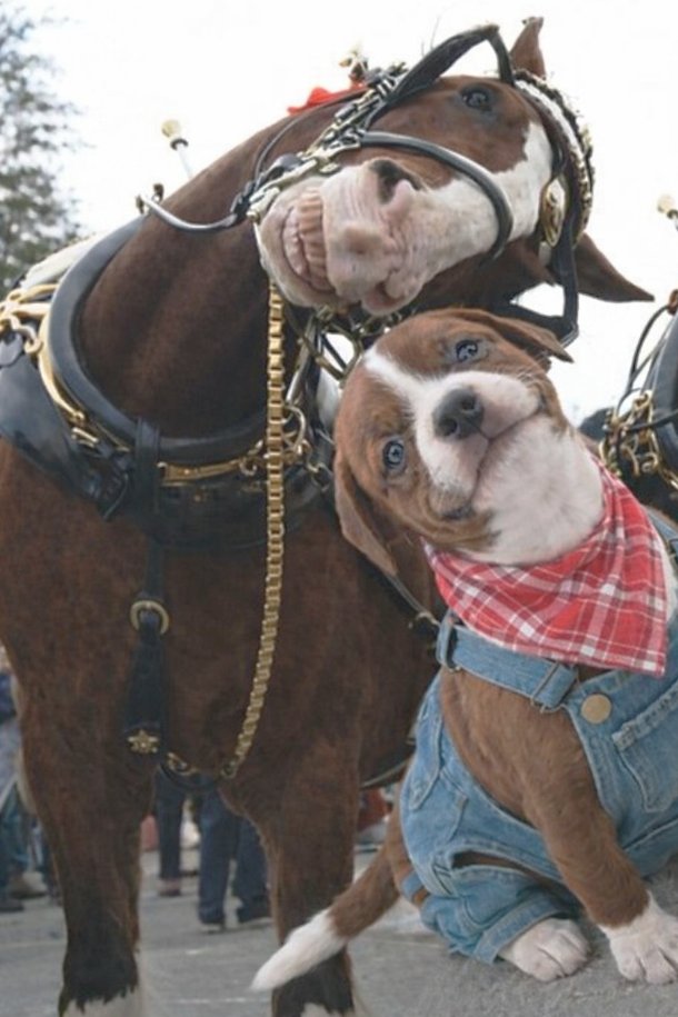 This picture is too beautiful not to be seen by everyone.
If this made you smile, share it 💫😊🤎