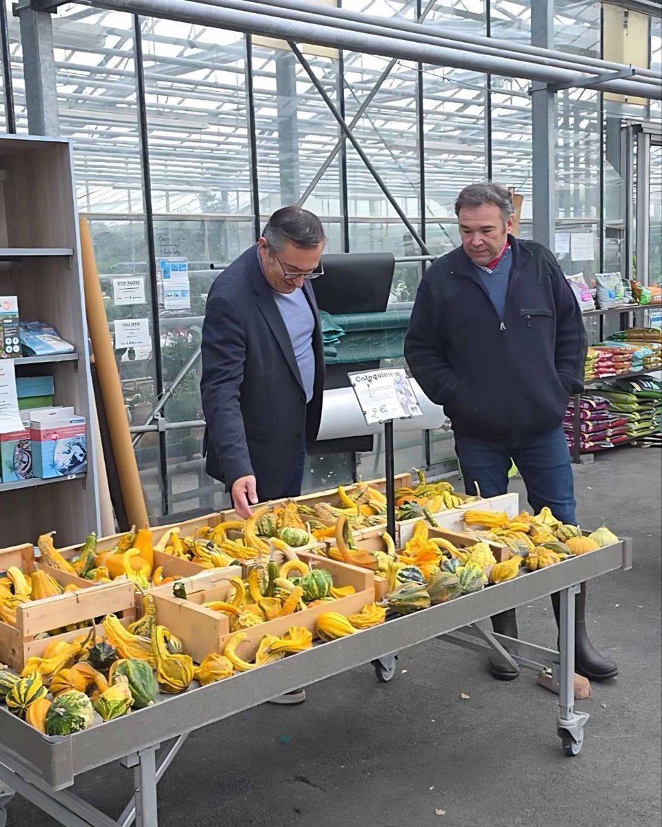 Jean-François Portarrieu tweet media