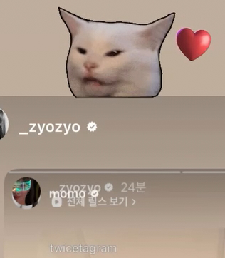 the cat and heart sticker 😭 momo get up!