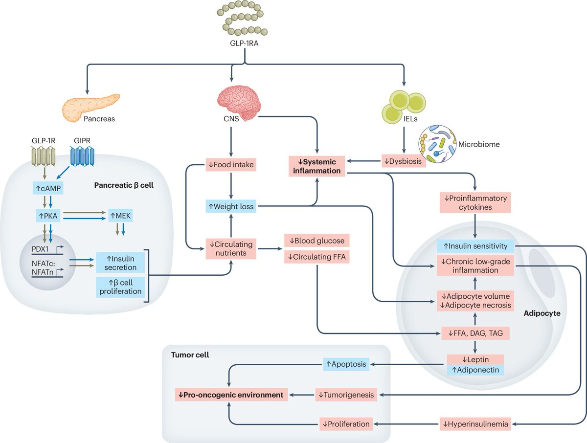 Nature Cancer tweet media