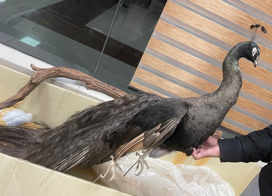 Amritsar Customs tweet media