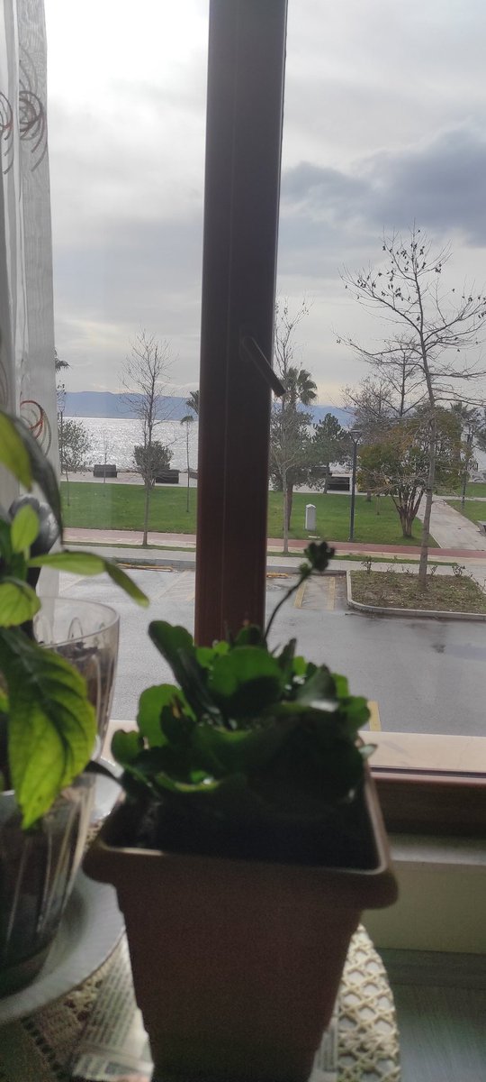 Baba evi manzarası,anne çiçekleri... Böyle bir #perşembe 💙