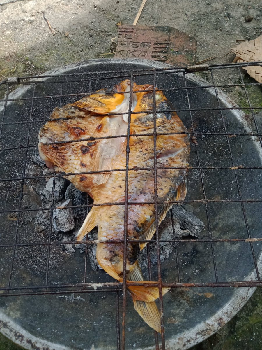 Info masak ikan biar ga bosen :(