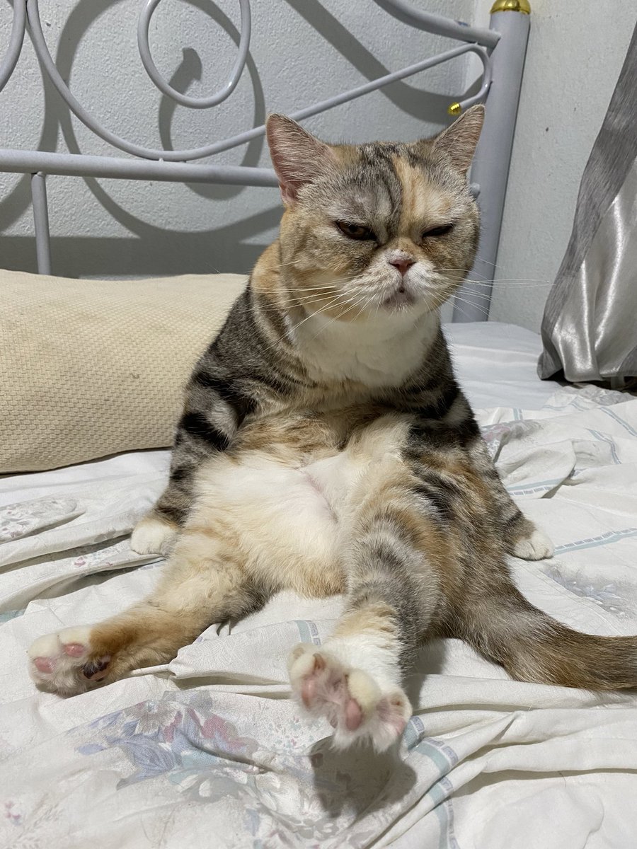 Minbeer28032539's tweet image. อดีตชื่อพีต้า                           ปัจจุบันชื่อแชท