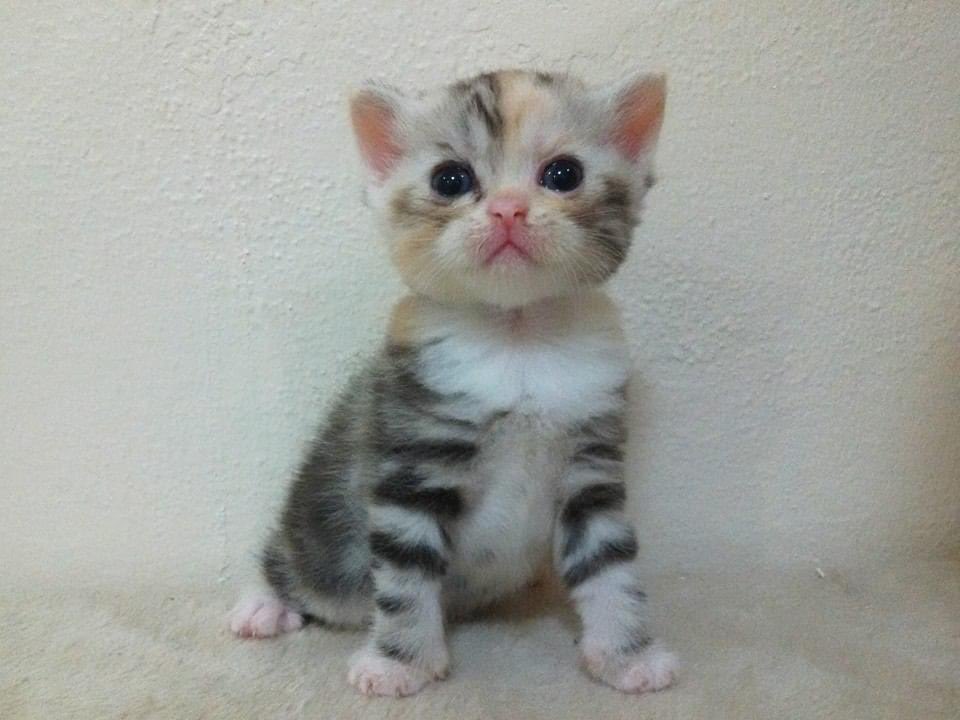 Minbeer28032539's tweet image. อดีตชื่อพีต้า                           ปัจจุบันชื่อแชท