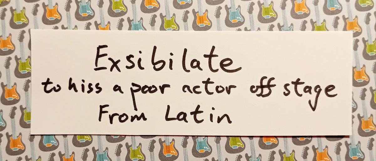 Grace Tierney tweet media