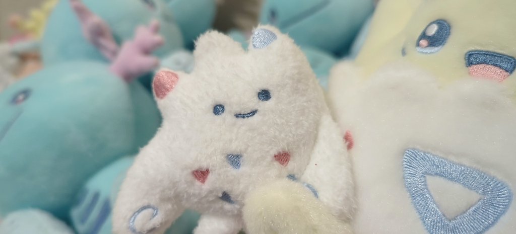 GUSA💮 tweet media