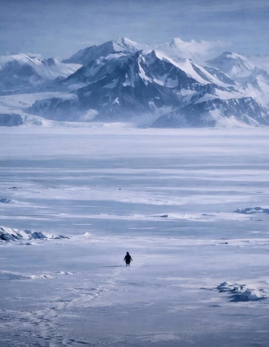 ️Chilli tweet media