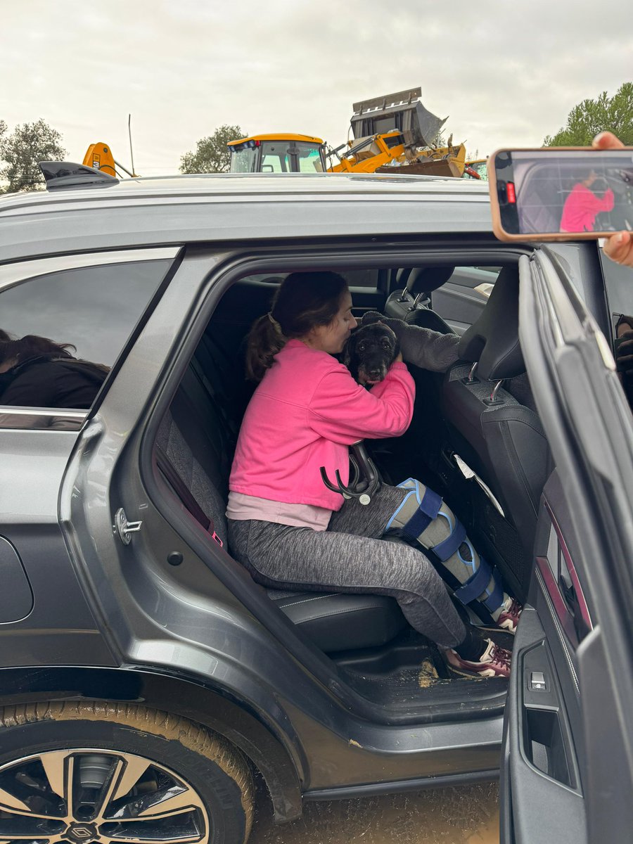 swiftieauro's tweet image. 🥹🥹👏🏻👏🏻 que alegría, Boro reunido con su dueña ❤️