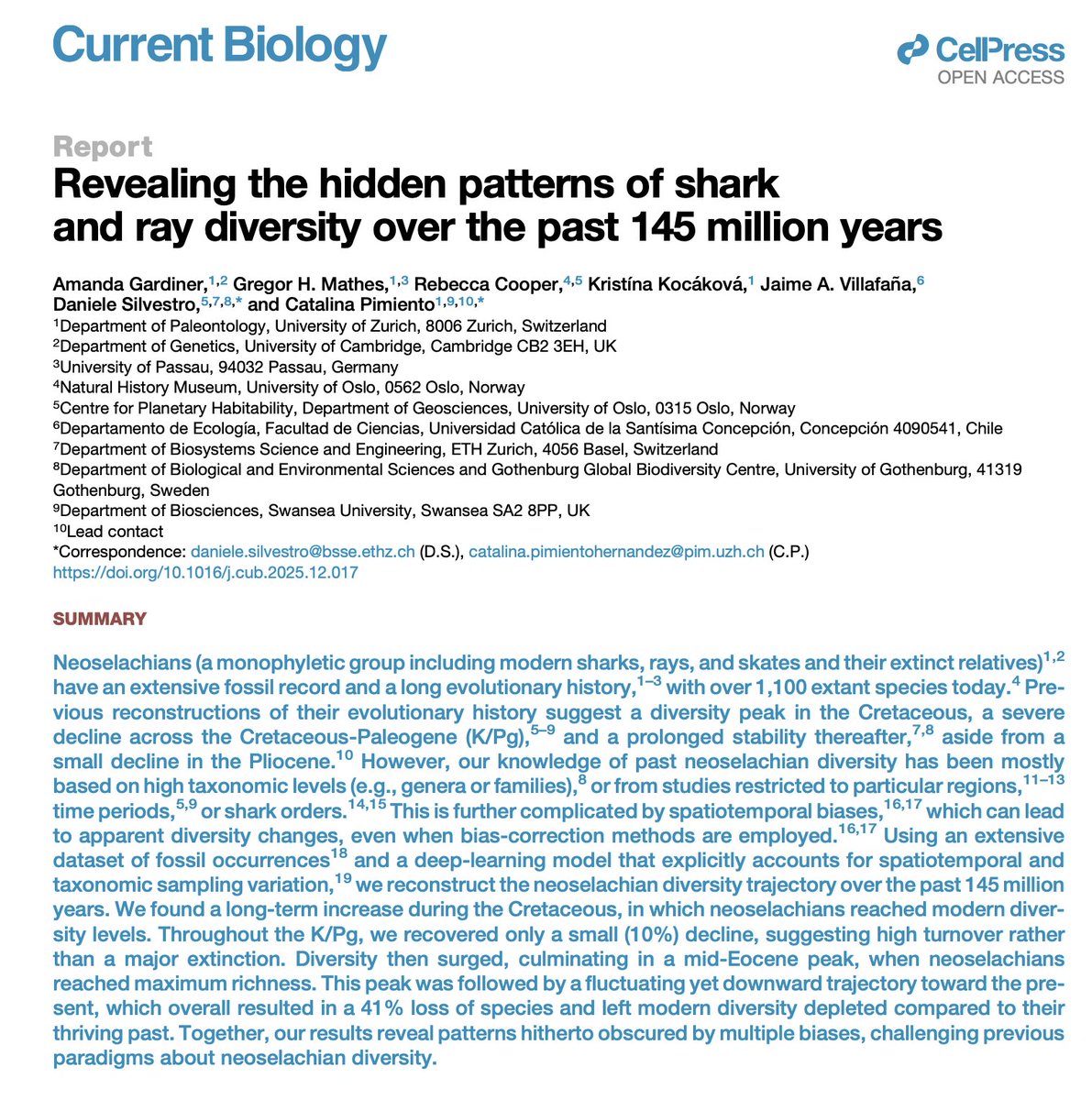 Pimiento Research Group tweet media