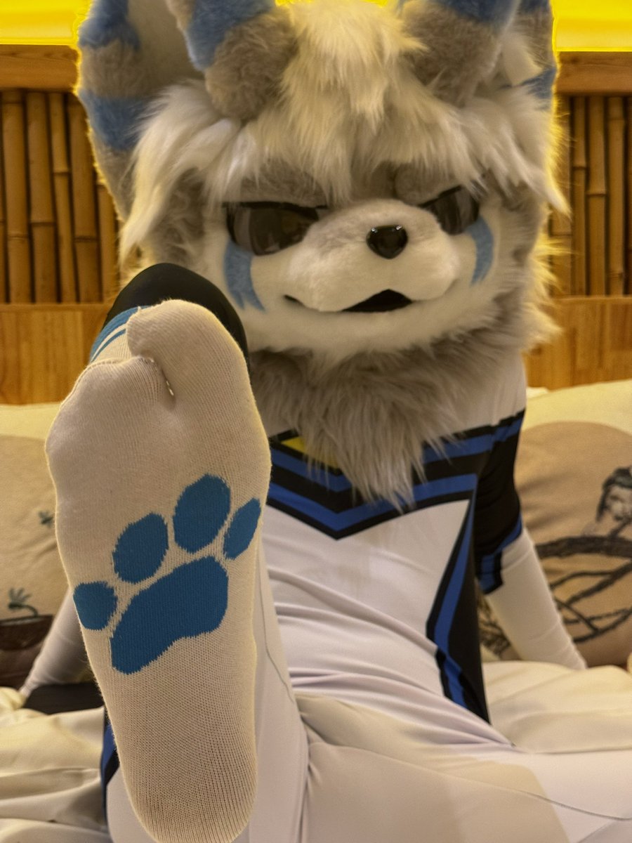 癫癫老师（找瘦小狗版 tweet media