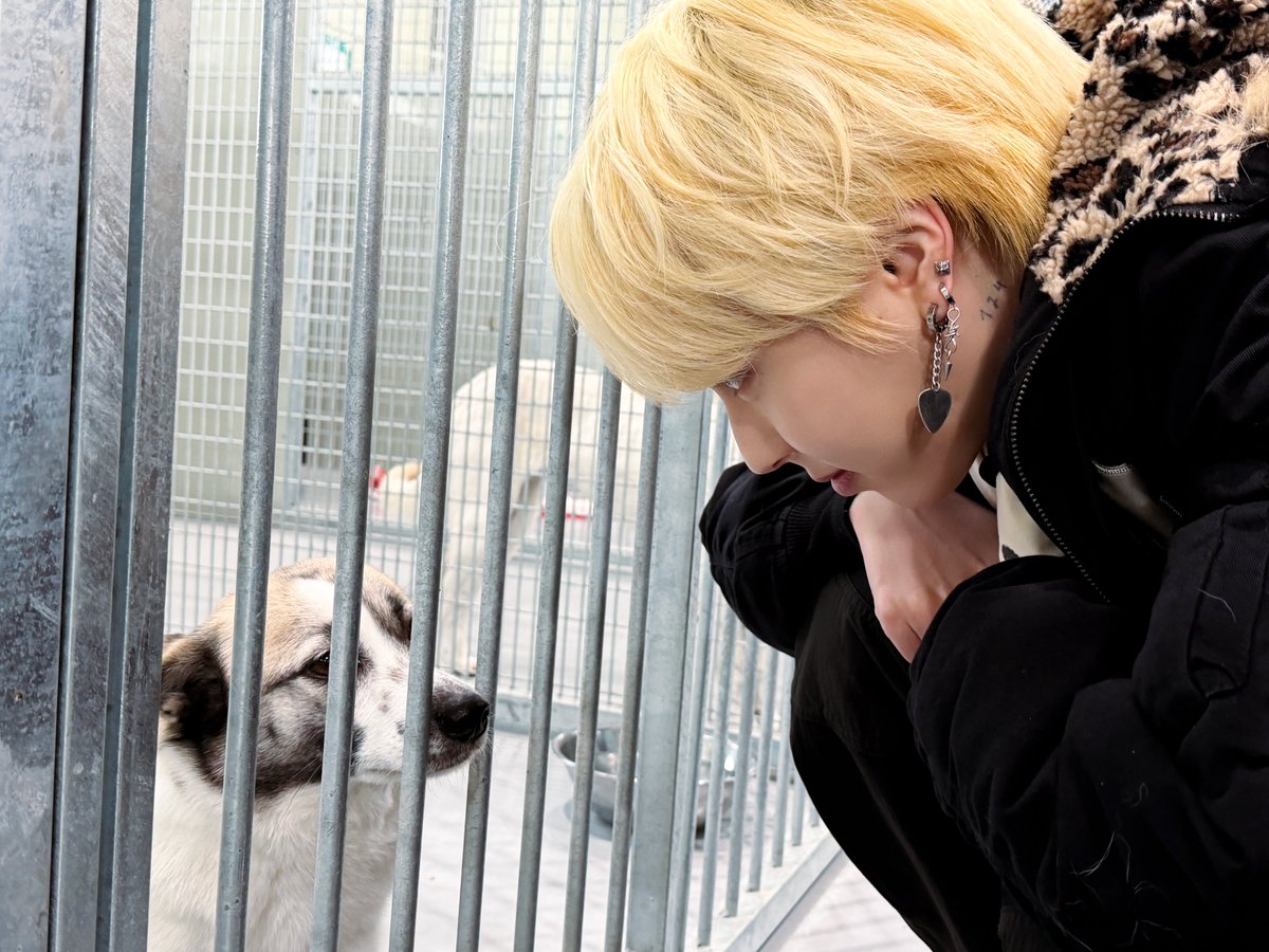 official_ONEWE's tweet photo. [#기욱]

🎂기욱 탄신일🎂

한 살 한 살 더 먹어가는 시간에 봉사 한번 못 해본 것 같아서, 생일날 좋은 마음으로 좋은 경험해 보러 빅독포레스트에 다녀왔습니다. 강아지들 너무 예쁘고 사랑스럽고 귀여웠지만 다들 안타까운 사연이 하나씩은 있어서 마음이 좋지만은 않았습니다. 다음에 갈 때는 좋은 주인분들께 얼른 입양 갔으면 좋겠네요. 천사들이 더 좋은 환경에서 주인을 만날 때까지 위브들도 꼭은 아니지만 관심 한번 가져줬으면 좋겠습니다🫶🏻 생일날 말이 길었네요 ㅎㅎㅎ
생일 축하해 줘서 너무 고맙습니다 위브들💙🐹

#원위 #ONEWE #GIUK
#당신은_어디쯤_여긴_기욱이_생일
#LoveLee_Giuk_Day