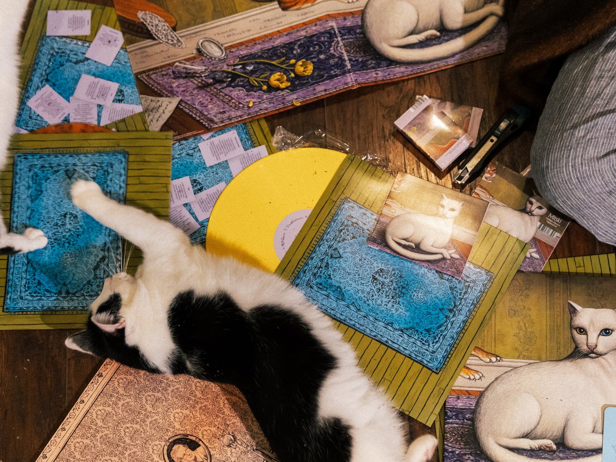 Mitski com seu álbum “Nothing's About to Happen to Me” feat gatos 🐱