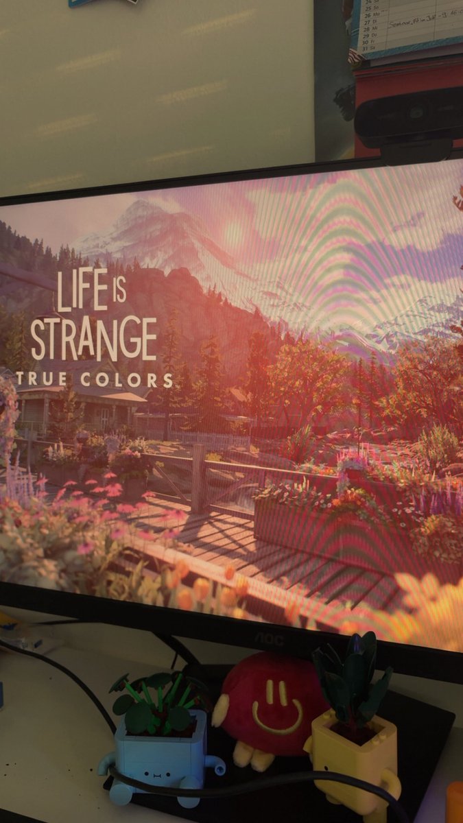 TypischRyan 🐬 tweet media