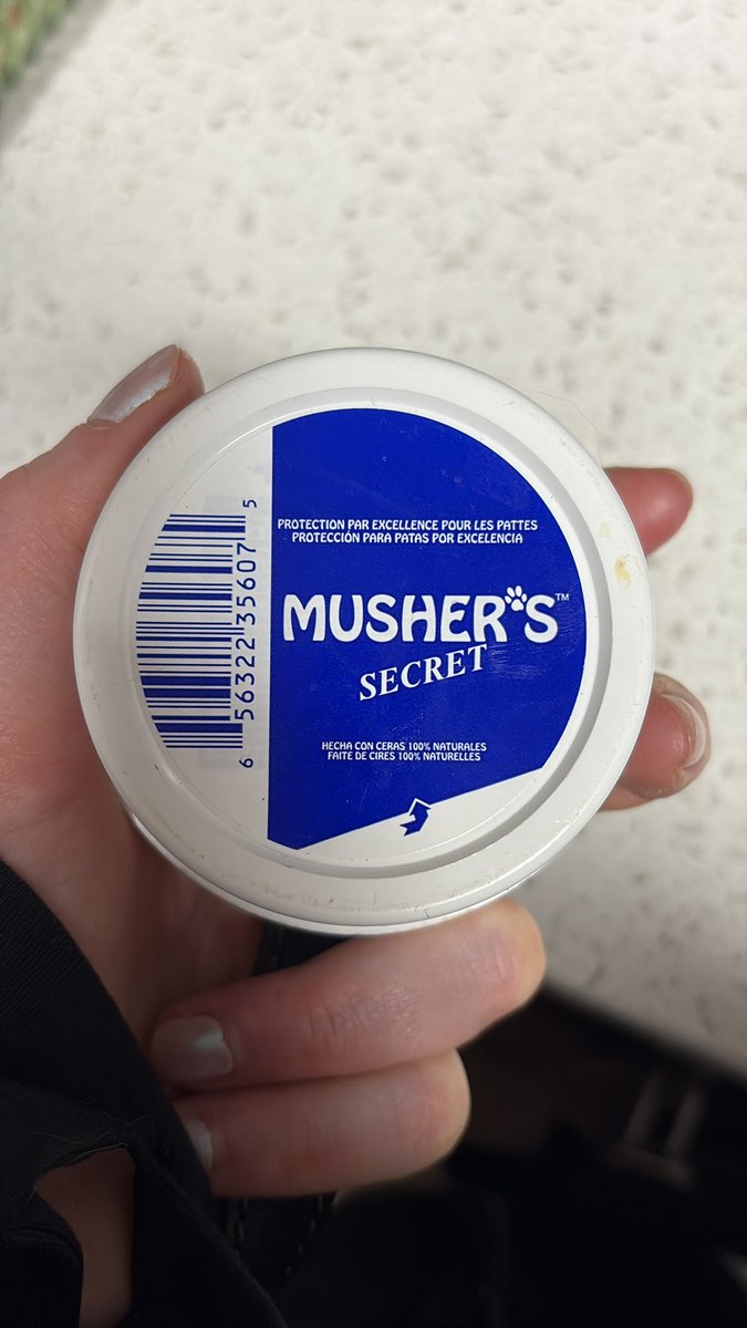 Ivory Robin 🌻🔪 tweet media