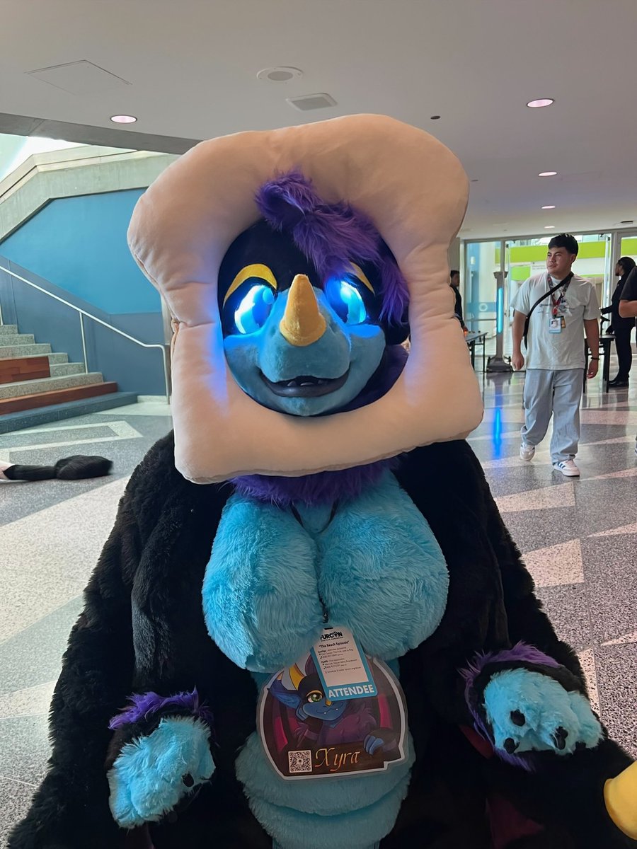 Hooman, I require your assistance please. 🥪

#FC26, #FurtherConfusion2026 

📸🥖: <a href="/gzifoyd/">Gzifoyd</a>