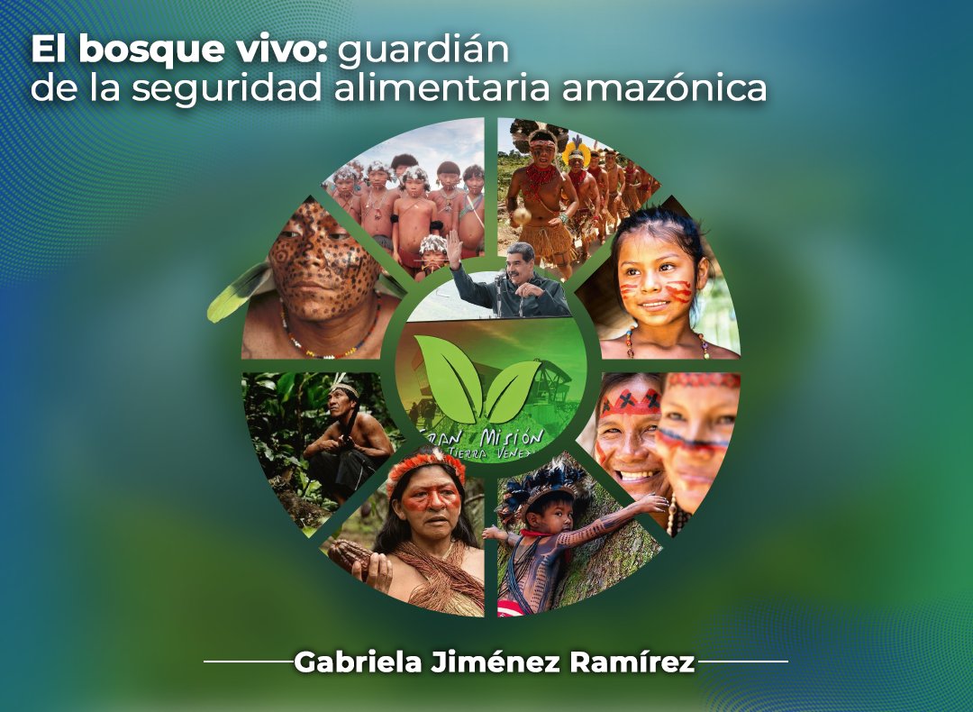 El bosque vivo: guardián de la seguridad alimentaria amazónica

La Amazonía no solo es el bosque tropical más extenso y biodiverso del planeta, sino también el escenario de nuestra historia y la de nuestros ancestros; un legado que nos recuerda de dónde venimos y nos hace más