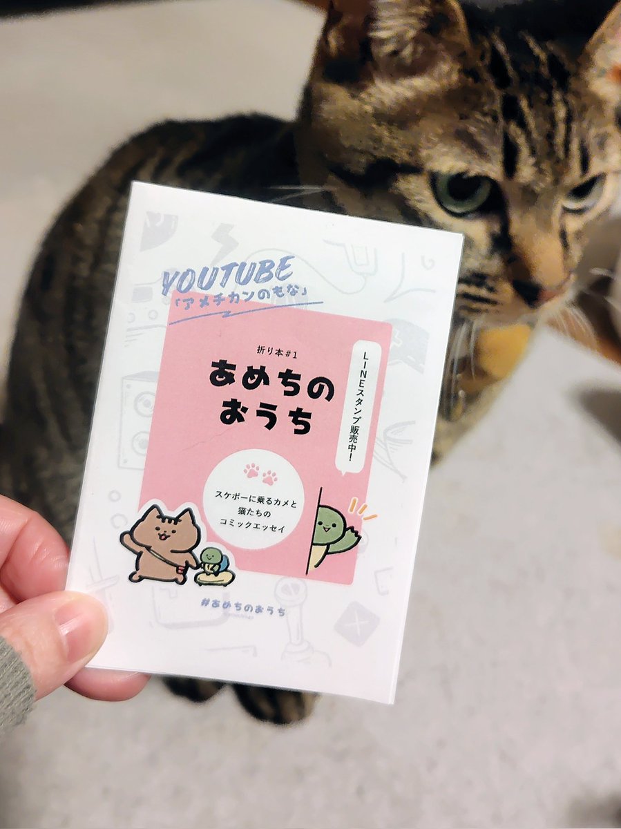 亀です 楽天市場】【公式】つくるんです「カメ」TG275／あんしん日本語説明書