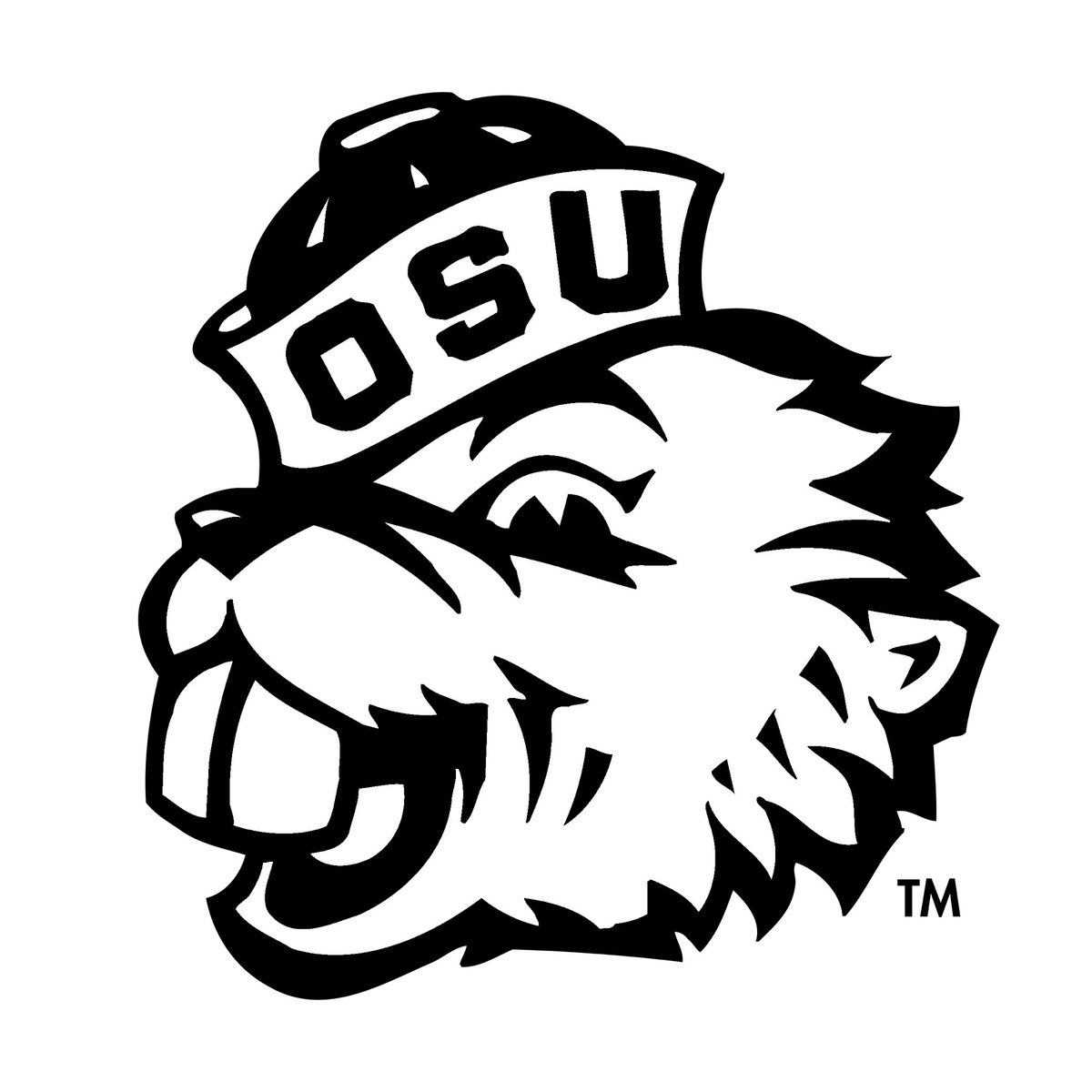 JayJohnson28 tweet media