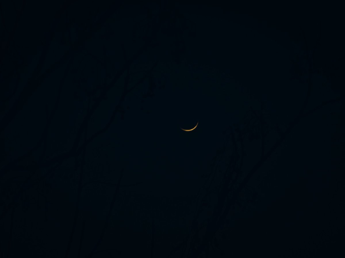 SachinAcharya's tweet photo. Moon child✨️ 🌙
#landscapephotography #photography #Nature #StormHour #ThePhotoHour #EarthCurated #theglobalphotocommunity #PerfectPixels #VSCO #AmateurPhotographer #withGalaxy #ShotOnSnapdragon https://t.co/41QIc335mp