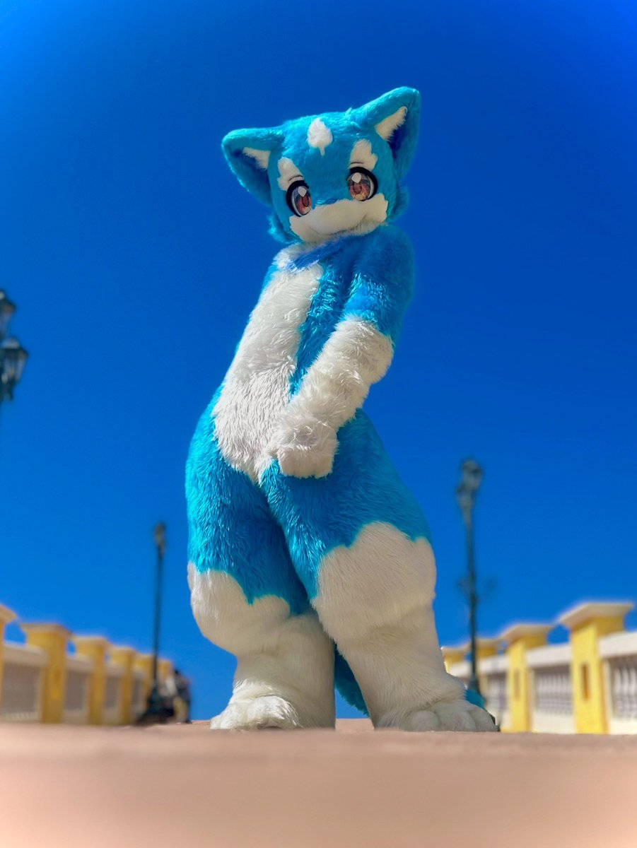 ボラーレ tweet media