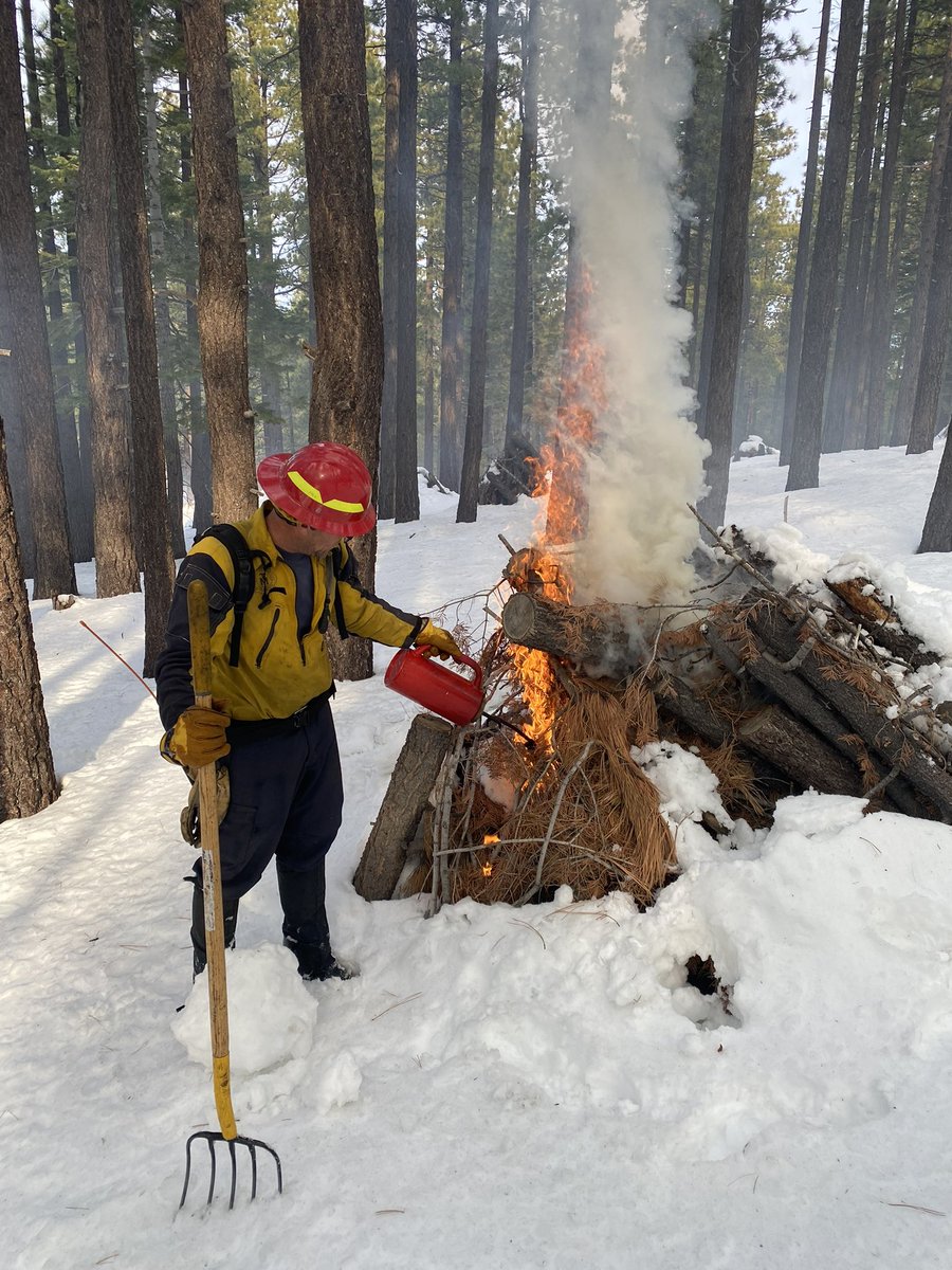 TMFPD's tweet image. Today, #TMFR Wildland Crews continue working in cooperation and supprting our partners with the @HumboldtToiyabe on prescribed pile burning along the Mount Rose Corridor.  Expect to see smoke, and please do not report.